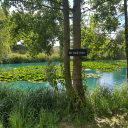 bunny-sugar-cubes avatar