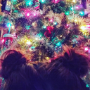 bunny-the-lifeguard avatar