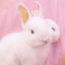 bunny-with-two-heads avatar