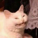 bunnyandcreek avatar