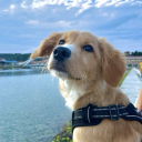 bunnybearsmol avatar