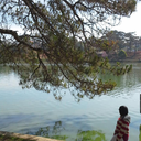 bunnybittersweet avatar