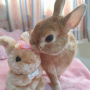 bunnybonbon avatar
