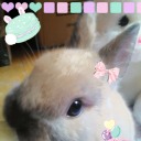 bunnycakes avatar