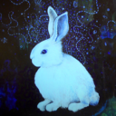 bunnyfromjupiter avatar