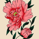 bunnygirlaurora avatar