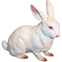 bunnygore avatar