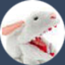 bunnyhero avatar
