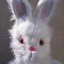 bunnyloaf avatar