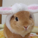 bunnymaknae avatar