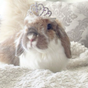 bunnypilledboy avatar