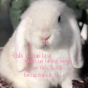 bunnyplushys avatar