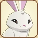bunnyrabbitbracket avatar