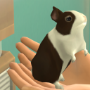 bunnysimscc avatar