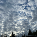 bunnysmoothie avatar