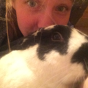 bunnyther4bbit avatar