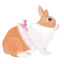 bunsandbows-thelifeof-blog avatar