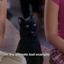 bunsbunsofhorror avatar