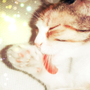 bunuyazanbirkedidir avatar