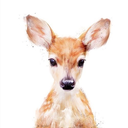 buoyant-temper avatar