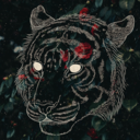 bur-ning-skies avatar