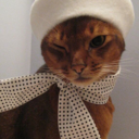 burasi-dunya-yahu avatar