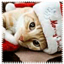 burayakaciyorum avatar