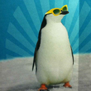 burayisevmirem avatar