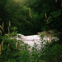 burberrybuckethat avatar