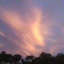 burdenedwithgloriousfandoms avatar