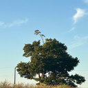 bureverything avatar