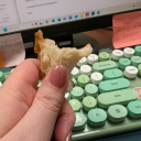 burglethyturts avatar