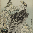 burgundy-bones avatar