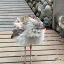 burgundyvodka avatar