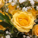 burned-letters avatar