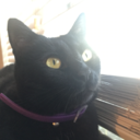 burned-too-bright avatar