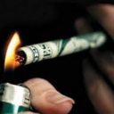 burnhollywoodburn avatar