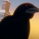 burning-blazes avatar