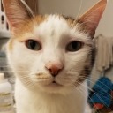 burning-glitterconfetti avatar