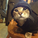 burningcheesecakee avatar