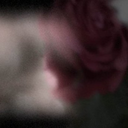 burningfencepost avatar