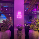 burningmybridgesdownn avatar