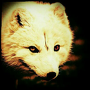 burningmysins-innipton-blog avatar