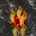 burningrosesbythesea avatar