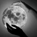 burningxdaisies avatar