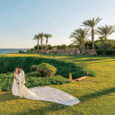 burnsandahalf avatar