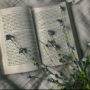 burnsbabblebooks avatar