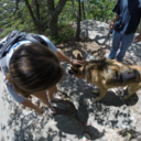 burnslikefireandlectricity avatar