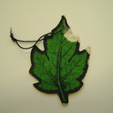 burntbythesun avatar