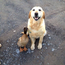 burntoutbodies avatar